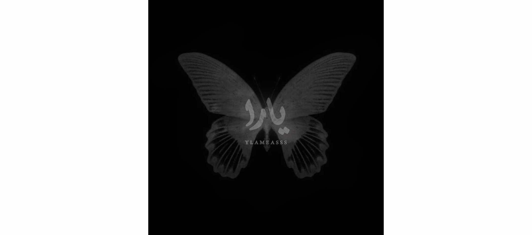 1:16am #ylameasss #acctives? #rasty_lak #kirkuk 