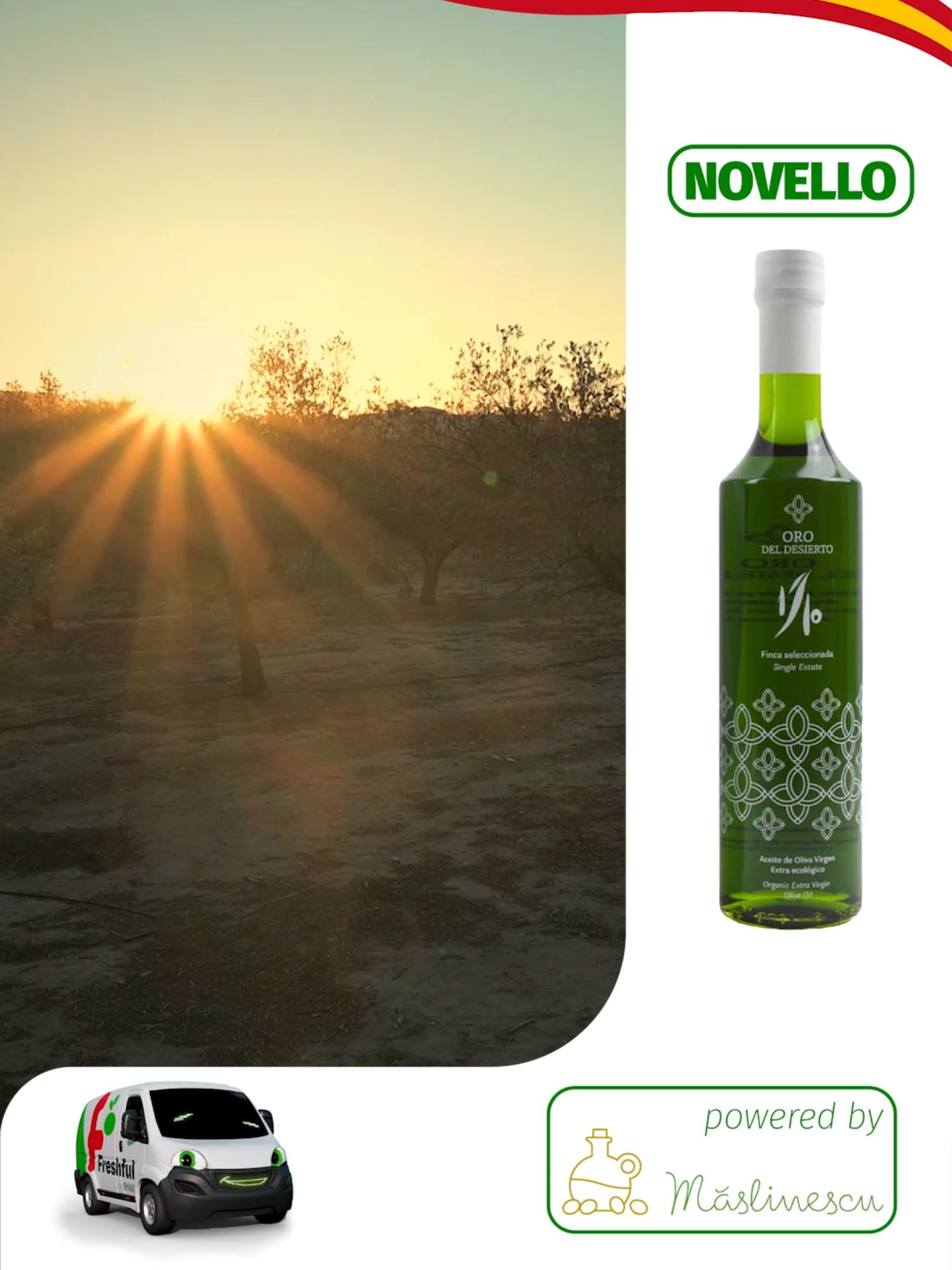 Novello, primul ulei al sezonului, obținut în octombrie, când măslinele sunt încă verzi și pline de prospețime. Pentru 1 litru de ulei premium, sunt necesare 10 kg de măsline proaspăt recoltate și presate cu grijă. Acest ulei delicat ajunge pe masa ta la doar câteva săptămâni după ce a fost stors, în ediție limitată și disponibil o singură dată pe an. Specialiștii @maslinescurecomandă să-l consumi doar crud pentru a-i păstra toate proprietățile. Hai să-l încerci înainte să dispară! 📲✨ #uleidemasline #novello #masline #spania #livrareacasa #hipermarketonline