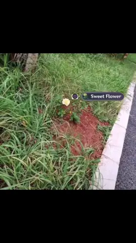 I don’t even know I just felt like this #genshin #GenshinImpact #corecore #nostalgia #fyp 