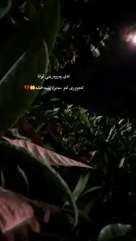 دایە🥺😔 #قوربانتبم_دایە_گیان #جێگات_بەھەشتە_انشاالله🥺💔🥀 