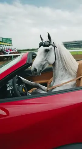 #ゴールドシップ  #ゴルシ #フェラーリローマスパイダー  #ゴルシならやりかねない 