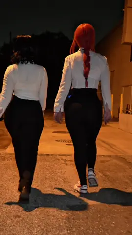 Makima and Hemino on there way to adopt a new dog 🐶 @Elise is Himeno #makima #hemino #chainsawman 