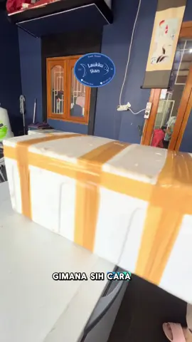 Klo kamu dari kota mana? #mengikankanindonesia  #laukkuikan 