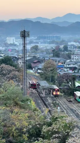 #japanvibes #japan #おすすめ 