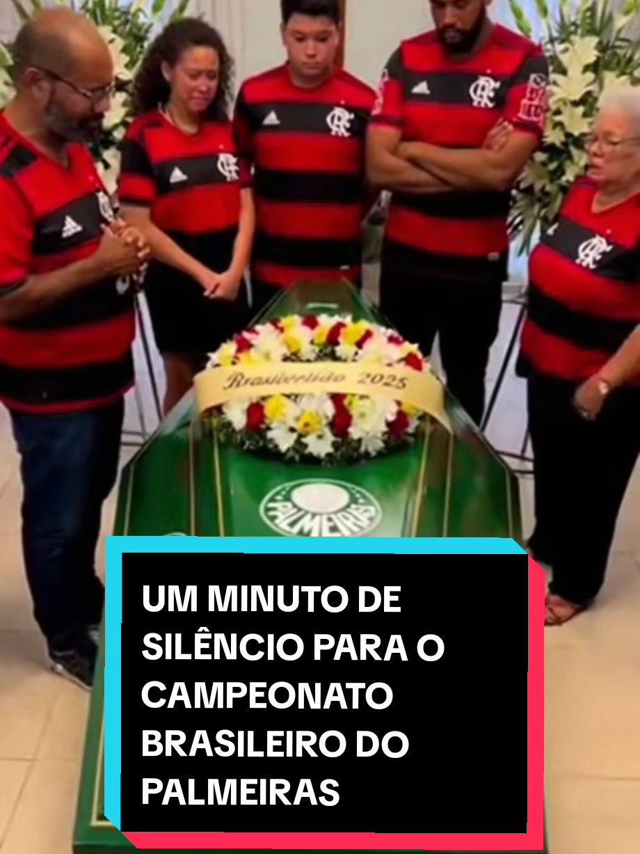 Um minuto de silêncio para o time do Palmeiras no Campeonato Brasileiro de 2025 #palmeiras #campeonatobrasileiro #futebol #flamengo #meme 