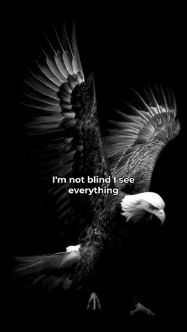 I’m not blind. I just choose silence. #mindset #clarity #awareness #growthmindset #silence