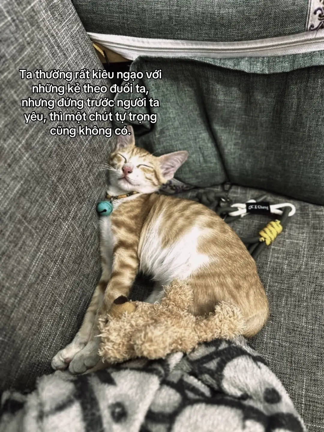 #qhuychillme #fyp #tamtrang #tinhyeu #nhttxuhuong 