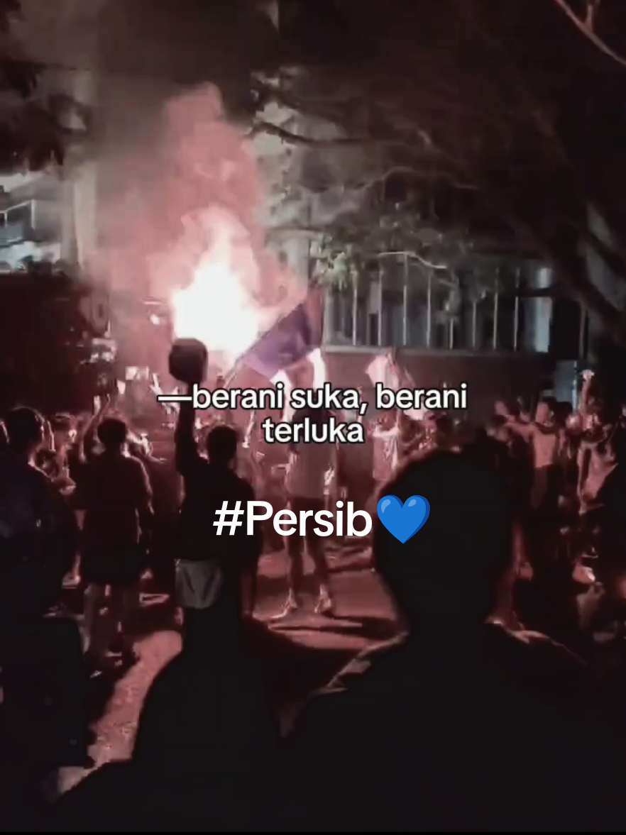 Nt sib💙 #Persib #persibvslioncity #fyp 