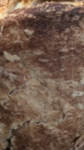 Thanksgiving bread 🤤🍞🤤 and yes you gotta smack it!  #thanksgiving #bread #homemade 