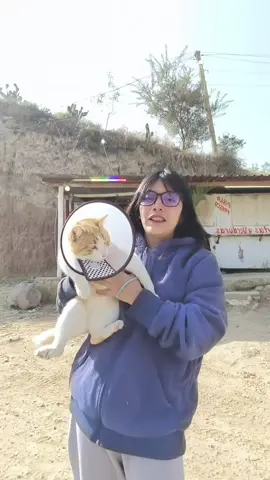 DONDE ESTAN LOS COCOS DE TOTOPO 🗣️♥️