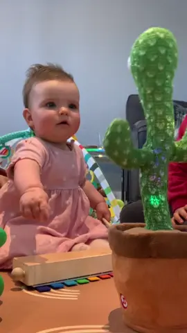 the cactus toy had the baby confused and entertained #cactustoy #funnybaby #babylife #kidsarefunny 
