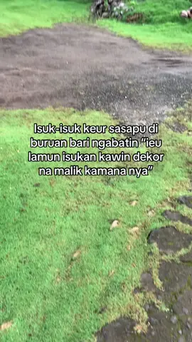 Isukan nu mana we lah😂😂#storisundaaafyp #katakatasundafyp 