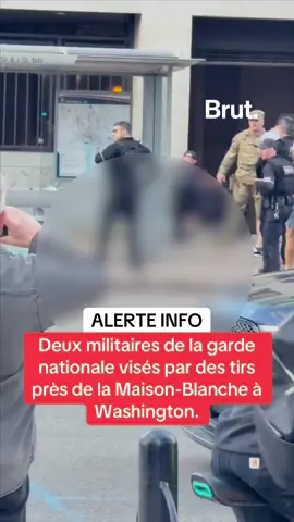 Les dernières infos. 