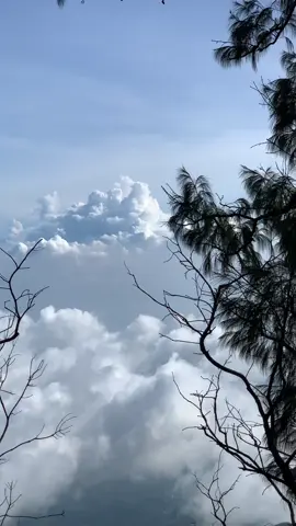 Lautan awannya… #1080p60fps #rinjani #tutorhd #foryou #fyp 