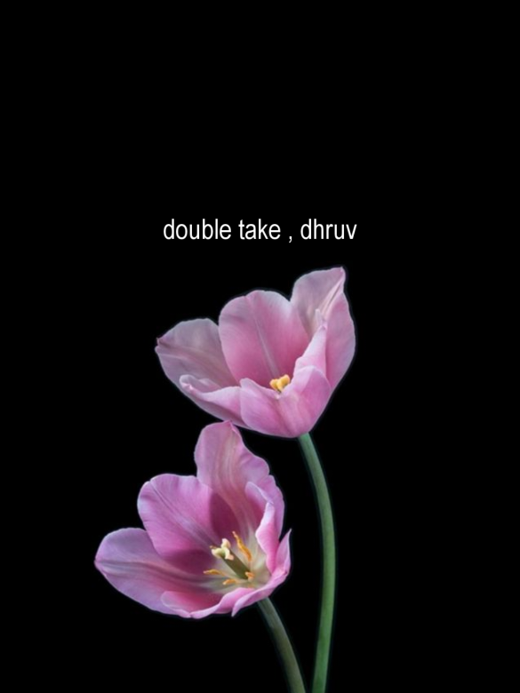 double take | dhruv #bellelyrcs #foryou #fyp #foryoupage #4u 