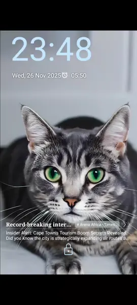 who's catching up with the pet 🐶🐕 #cat #catlover 