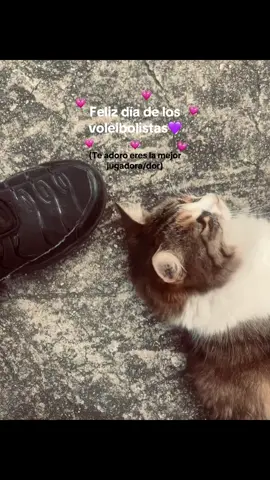 Feliz día de la voleibolista💗 #voleibol #diadelvoleibol #27denoviembre #amiga #amigo 