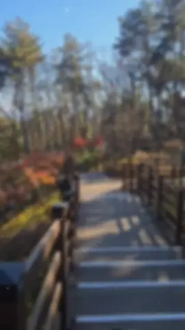 #สตอรี่ความรู้สึก 