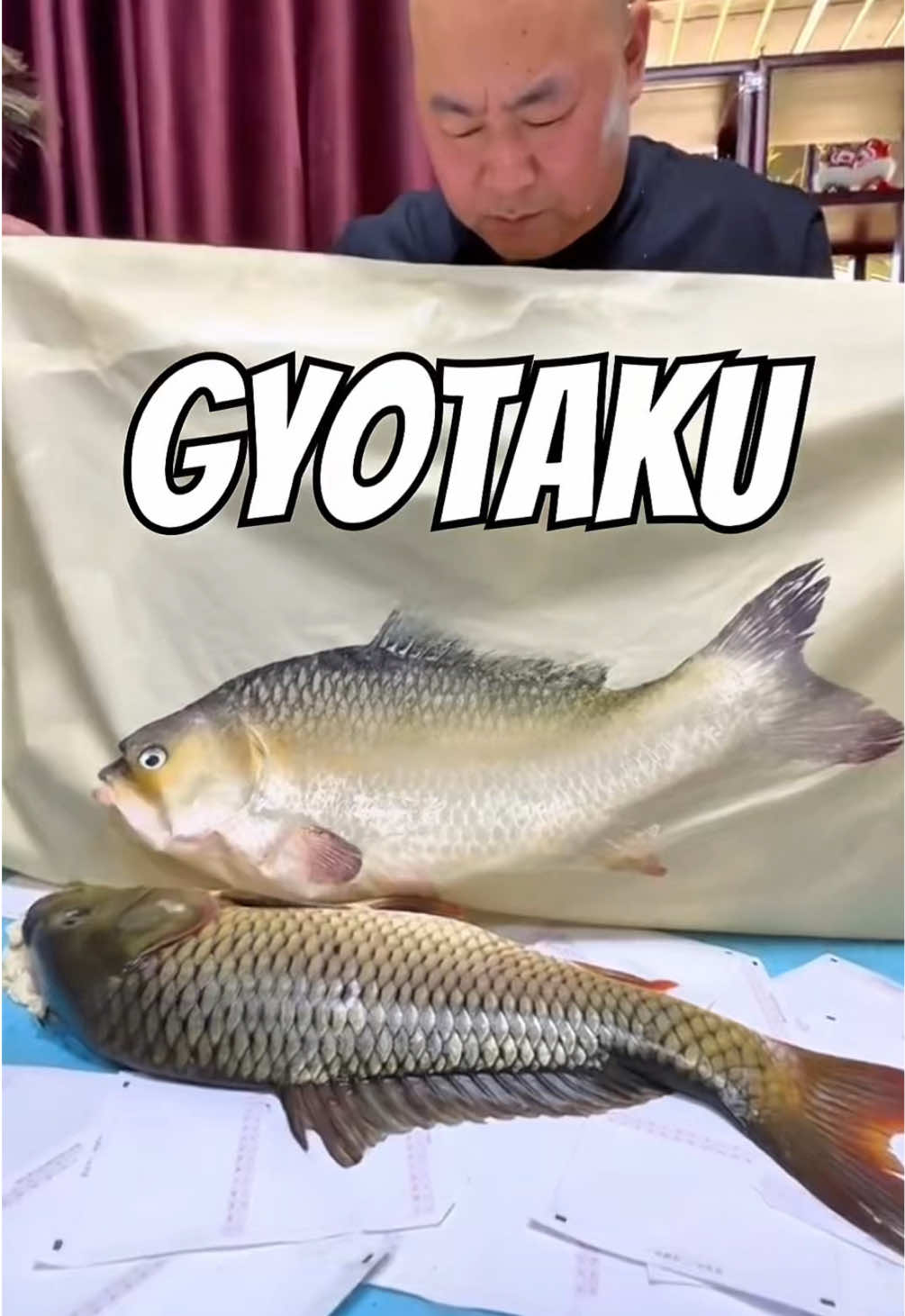 🎌🎨 Já ouviu falar em Gyotaku? É uma técnica japonesa criada no século XIX que usa peixes reais para fazer impressões artísticas. Pescadores registravam suas capturas pressionando o peixe coberto de tinta sobre o papel — como uma “foto” da época, mas feita à mão. Com o tempo, o Gyotaku virou arte: detalhes incríveis, texturas naturais e um resultado que preserva não só o peixe, mas também a história da pesca. 🐟✨ Hoje, essa tradição mistura ciência, cultura e estética. #gyotaku #pesca #pescaria #japao #natureza 