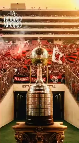 #aquiéflamengo #umavezflamengo #felipeluis #libertadores #campeao 
