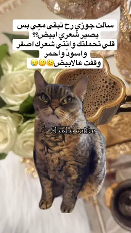 #MemeCut #Meme #MemeCut #زوجي #اكسبلور 🫠🥲