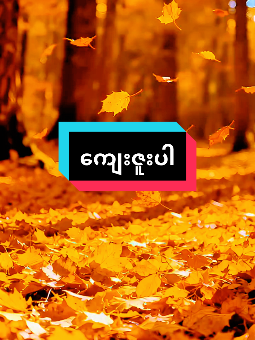 #ကျေးဇူးပါ #အတွေးအခေါ်စာစုများ #မူရင်းအသံပိုင်ရှင်အားလေးစားစွာ credit ပေးပါတယ်#@naing oo.008#fyppppppppppppppppppppppp 