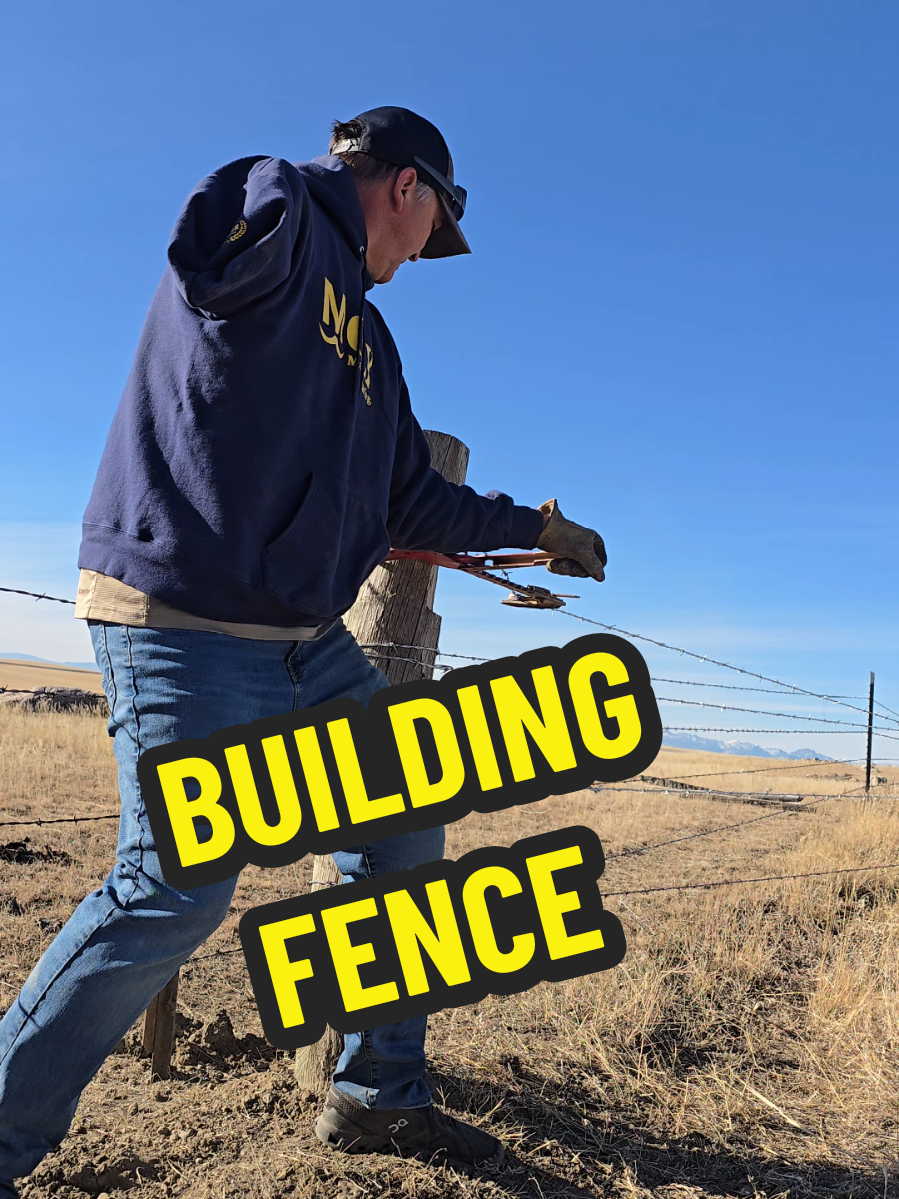 Building fence to keep the cows in isn't my favorite thing to do. Try it sometime with one arm. #cows #fence #animals #beef #amputee 