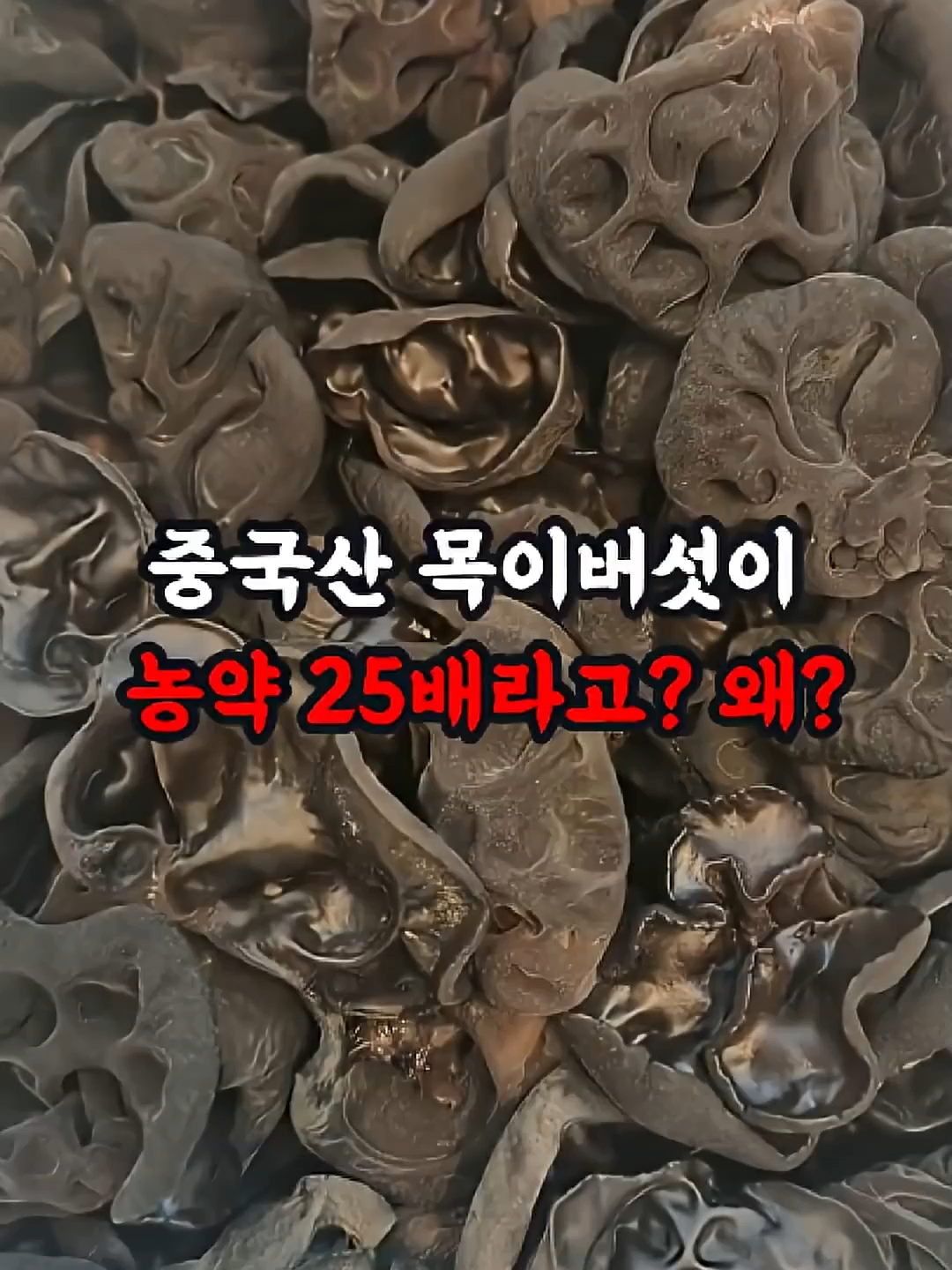 ve중국산 목이버섯이 농약 25배라고  왜