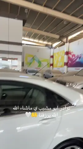 #كابرس #fyp #نوادر 