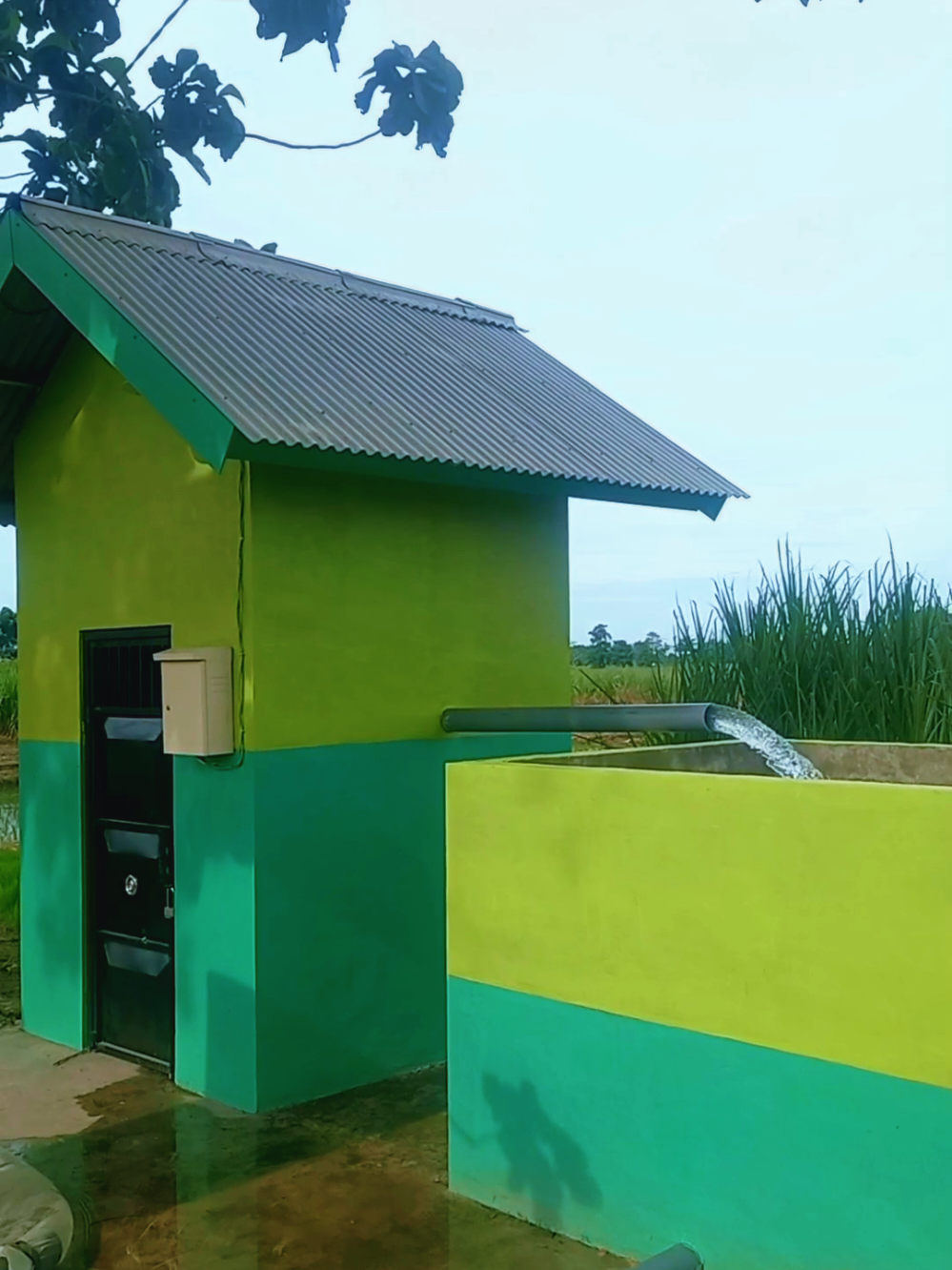 Pemanfaatan Submersible Optimasi Lahan Kabupaten Jombang #penyuluhpertanian 