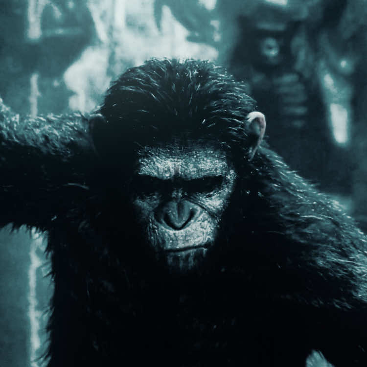 Dawn of the planet of the apes ##dawnoftheplanetoftheapes ##fyp##viral