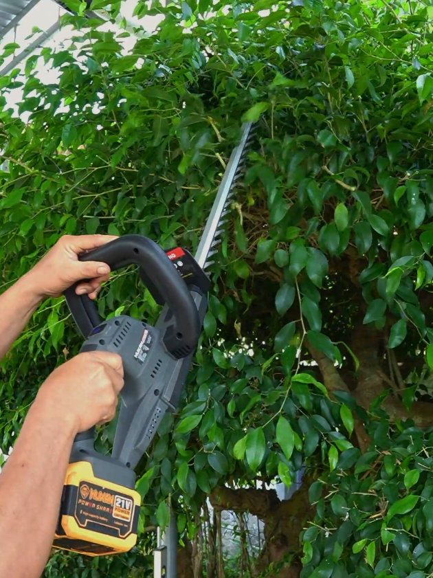 chiếc máy tỉa hàng rào hukan này sẽ giúp bạn làm việc bao nhanh nha. #binhdiennang2 #maytiahangrao #maytiacanh #hukan #bonsai 