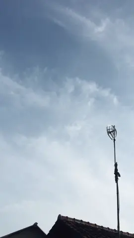 tutorr sritt jiii#fyp #kphjeparastyle🔥 #kphgank#masukberanda#foryou