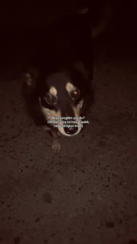 Qaqa dərs oxuram sevgiyə ayəracaq vaxtım yoxdu:::)))#keşfet #global #kəşfet #fypage #gece 