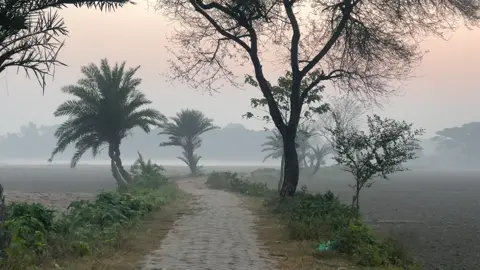 সকালে ঘুম থেকে উঠে এমন দৃশ্য দেখার মজায় অন্যরকম 🥰🌸❤️‍🩹 #viral #fyp #natural #foryoupage 