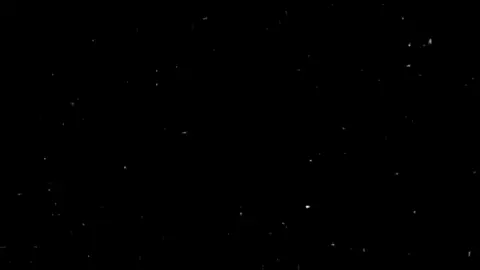 رميت الحب وسط الورد باعني 🚶🏻‍♂️🖤. . #foryou #حالات_واتس #تصميم_فيديوهات🎶🎤🎬 #foryoupage #foryou 