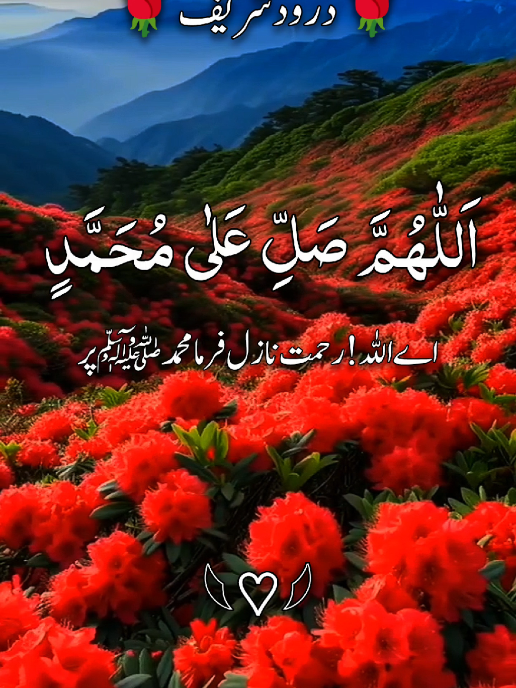 #اللهم_صلي_على_نبينا_محمد #رسول_الله_صلى_الله_عليه_وسلم #IslamicVideo #PeacefulVibes #IslamicReminder @꧁𝗛𝗼𝗹𝘆༺ قرآن꧂ @🌹🎧 اَلۡحَمۡدُ لِلّٰہِ🎧🌹 @🌹🕋💯اَلۡحَمۡدُ لِلّٰہِ💯🕋🌹 @TikTok Trends 