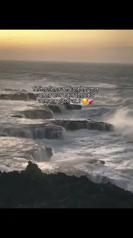 মিলিয়ে নিয়েন আমি হারাইয়া গেলে আমার মতো ব্যকুল হইয়া কেউ আপনারে চাইবো না..! ☺️❤️‍🩹#fyp #viraltiktok #idnewsupport #unfreezemyacount #newidpleasesupport😊 