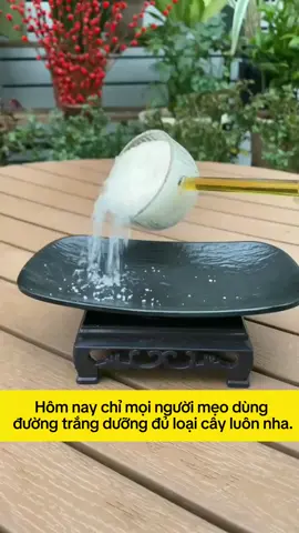 Tạo kích rễ tự nhiên . #foryou  #foryoupage #capcut #xuhuong #hot 