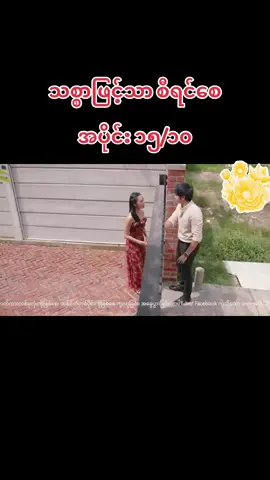 #သစ္စာဖြင်သာစီရင်စေ 