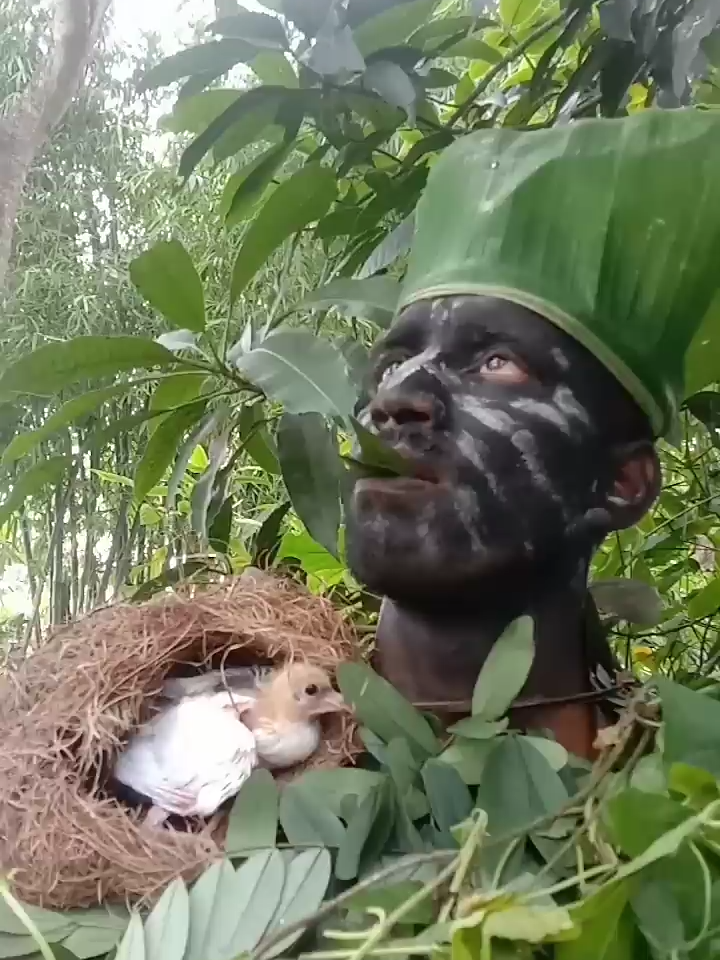 forest human bird sound call shorts video #fyp #foryoupage #birdcall #birds #call #sound #viralvideo#birdcall