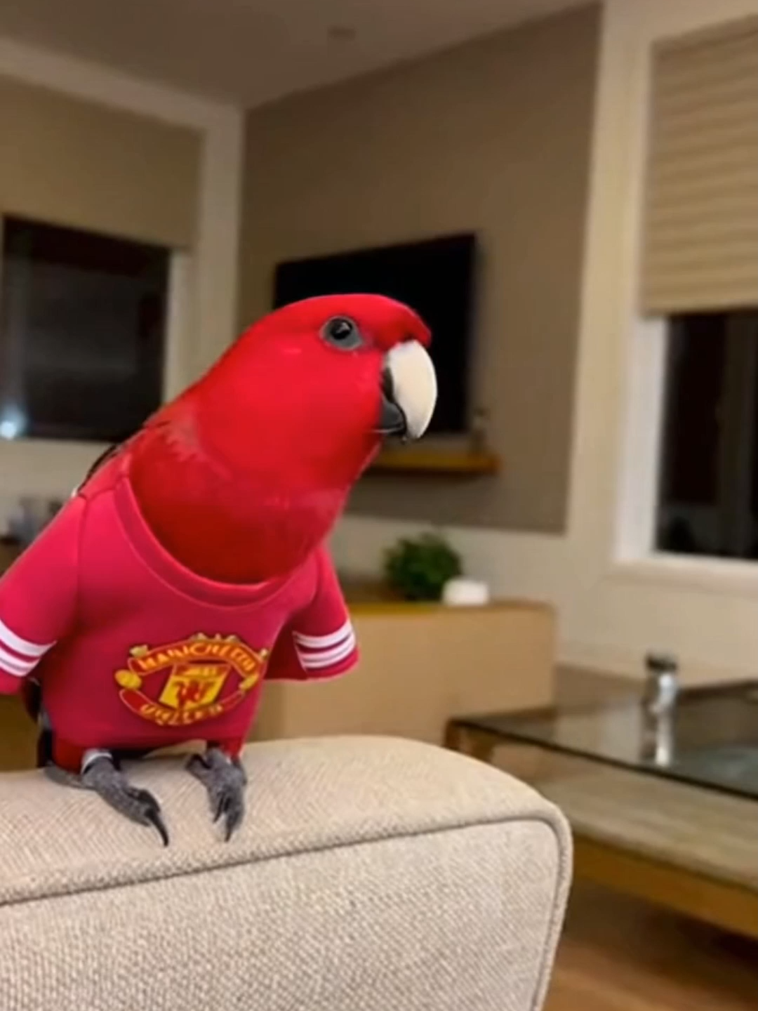 thật ra thì... #bangdinhNTA