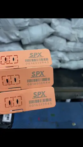 spx vs evrebody  #fypシ #foryou #cikarangpeople #spx 