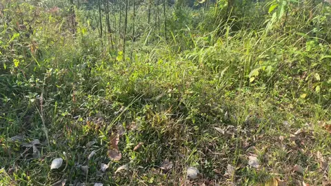 Mây bên phình hồ ae ☁#hoanghung60674 #wave2022xanhtim #hoanghung03 #wave2022xanhtimthan #wave21 