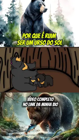 Vida de um urso do sol #naturesa #animal #usro #vida