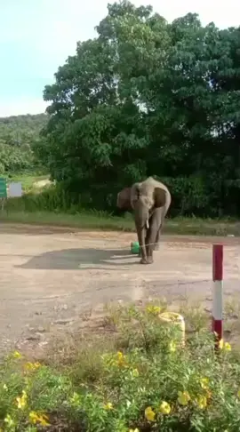 Pengalaman 10 tahun beliau 🗿🗿🗿