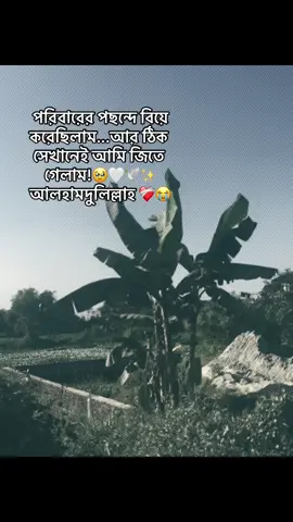 Alhamdulillah allahr kase onek onek sokriya 🤟🤟🤟🤲🤲##foryou #foryoupage #fpyシpppppppppppppppppp #viralvideoofficial #bdtiktokofficial 