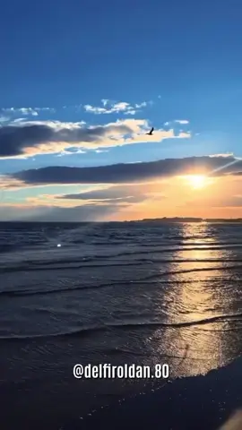 #bendecido Jueves#LIVEIncentiveProgram #LIVEFEST2025 #MakeLIVECount #PaidPartnership 