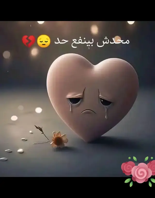#زهرة💐 #اكسبلور101 
