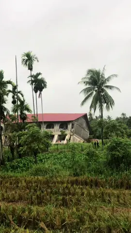 mohon 🤲 #prayforaceh #banjirr 